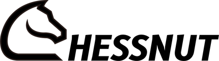 Chessnut logo
