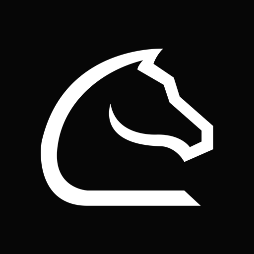 Chessnut logo