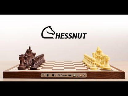 Electronic Chess Set