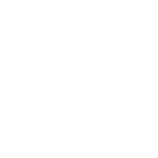 Chessnut Nova logo